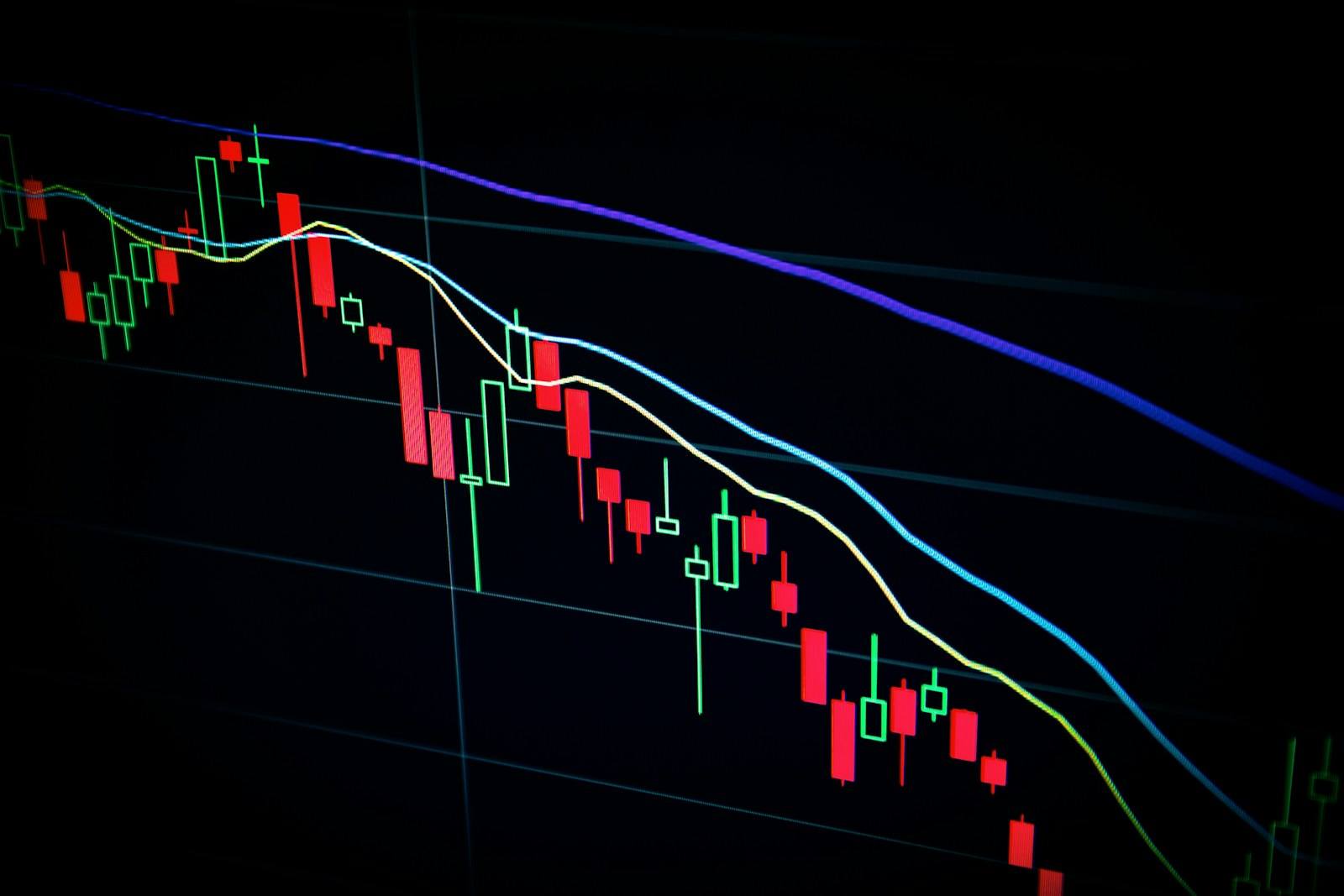 Analyst comparing allocation charts and token distribution data on a screen